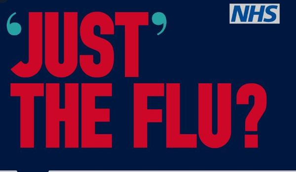 'Just' The Flu? 